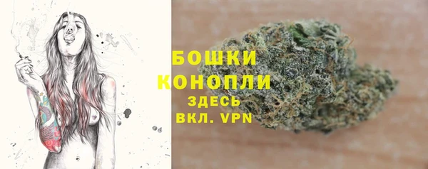 прущий лед Абаза