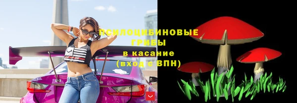 прущий лед Абаза